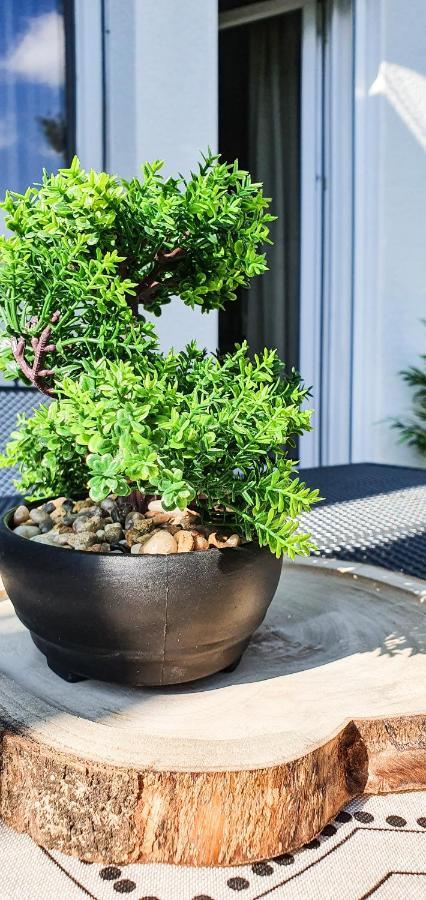 Ferienwohnung Seenah ฟรีดริชส์ฮาเฟน ภายนอก รูปภาพ