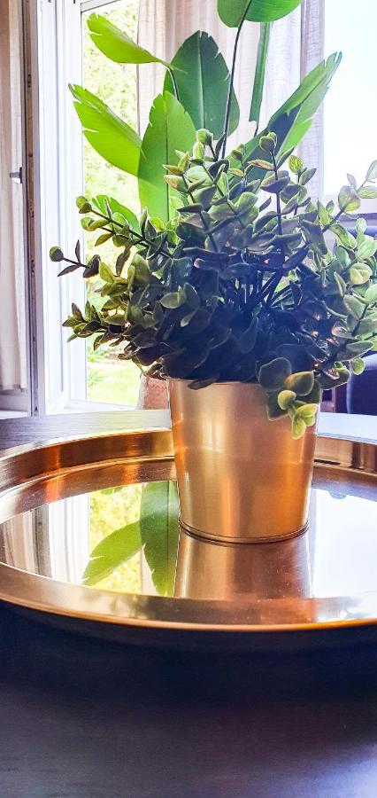 Ferienwohnung Seenah ฟรีดริชส์ฮาเฟน ภายนอก รูปภาพ